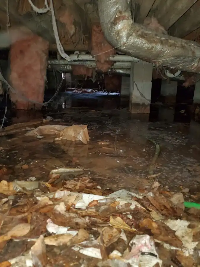 Crawl space flood assessment for Leak Detection & Repair in Americus